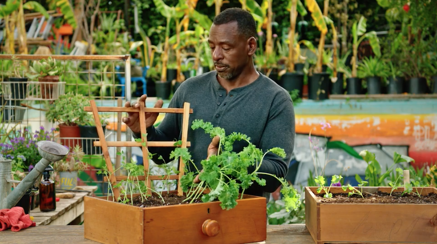 Ron Finley tending plants