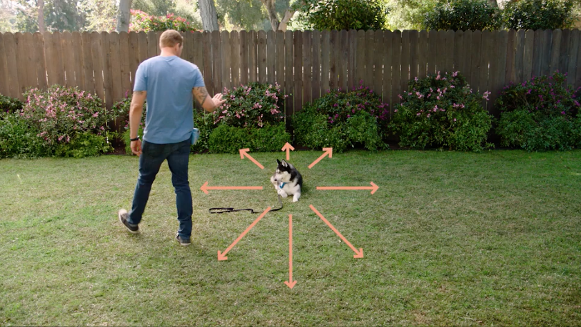 Brandon McMillan's 10 Essential Dog Training Tools - 2024 - MasterClass