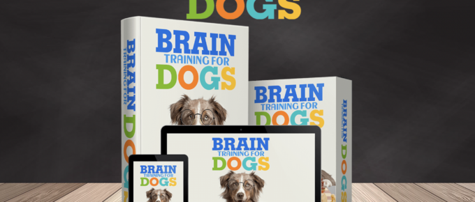 brain training for dogs| brain training for dogs course| dog training| online course| train your dog| puppy school online|